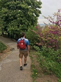 Rear view of man walking on footpath