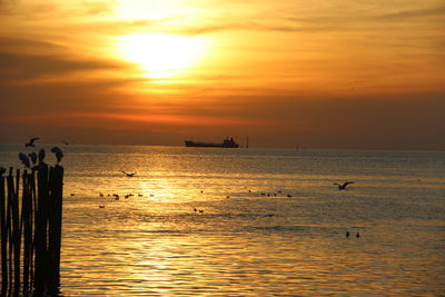 Scenic view of sea against orange sky