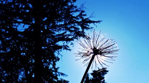 Low angle view of tree against sky