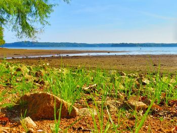 Scenic view of beach against blue sky