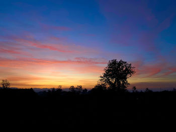 Silhouette trees against sky during sunset