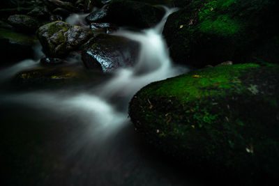 Scenic view of waterfall in forest