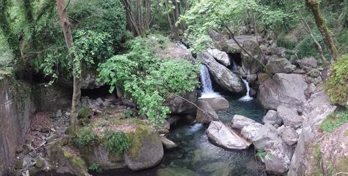 Scenic view of waterfall amidst trees