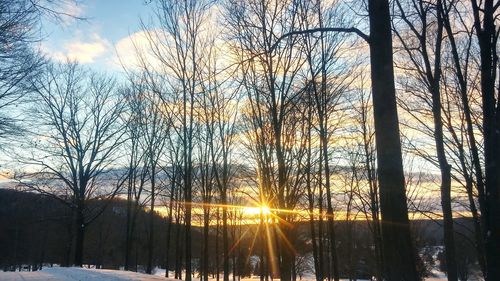 Bare trees on snow covered landscape during sunset