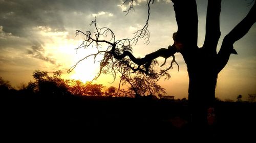 Silhouette tree against sky during sunset