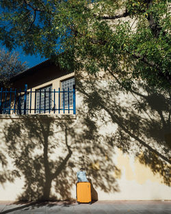 Low angle view of tree by building