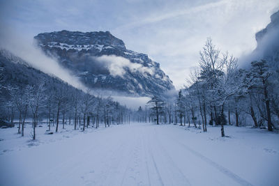 Snow covered land and trees against sky