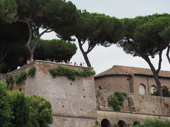 Trees and plants against building