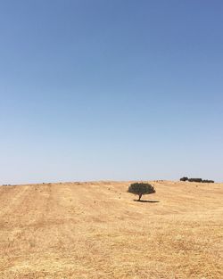 Scenic view of landscape against clear sky