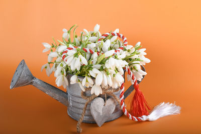 Close-up of flowering plant against orange background