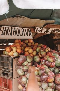 Low section of person holding fruits for sale at market