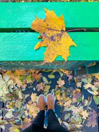 Low section of person standing on yellow leaves