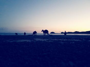 Silhouette people walking on landscape against clear sky