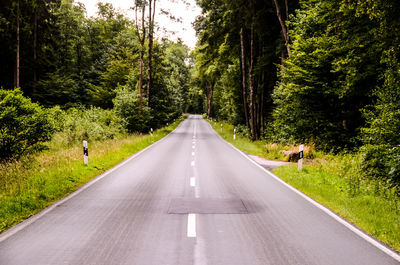 Road amidst trees in forest