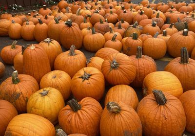Full frame shot of pumpkins in market