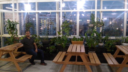 High angle view of potted plants