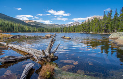 Scenic view of lake by trees against sky