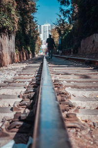 Surface level of railroad tracks amidst trees