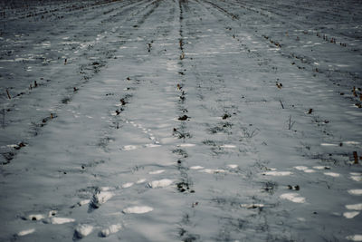 High angle view of snow covered land