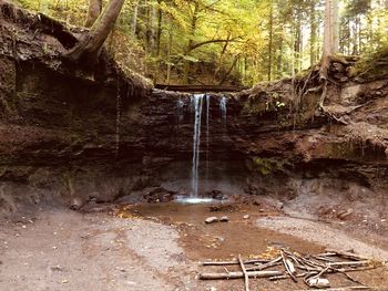 Scenic view of waterfall in forest