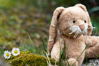 Close-up of stuffed toy on field