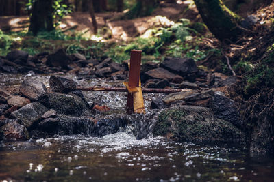 Close-up of water flowing through rocks