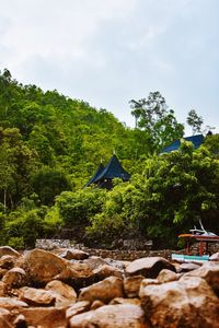 Scenic view of rocks in forest against sky