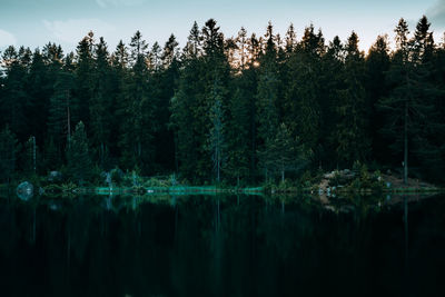 Reflection of trees in lake against sky