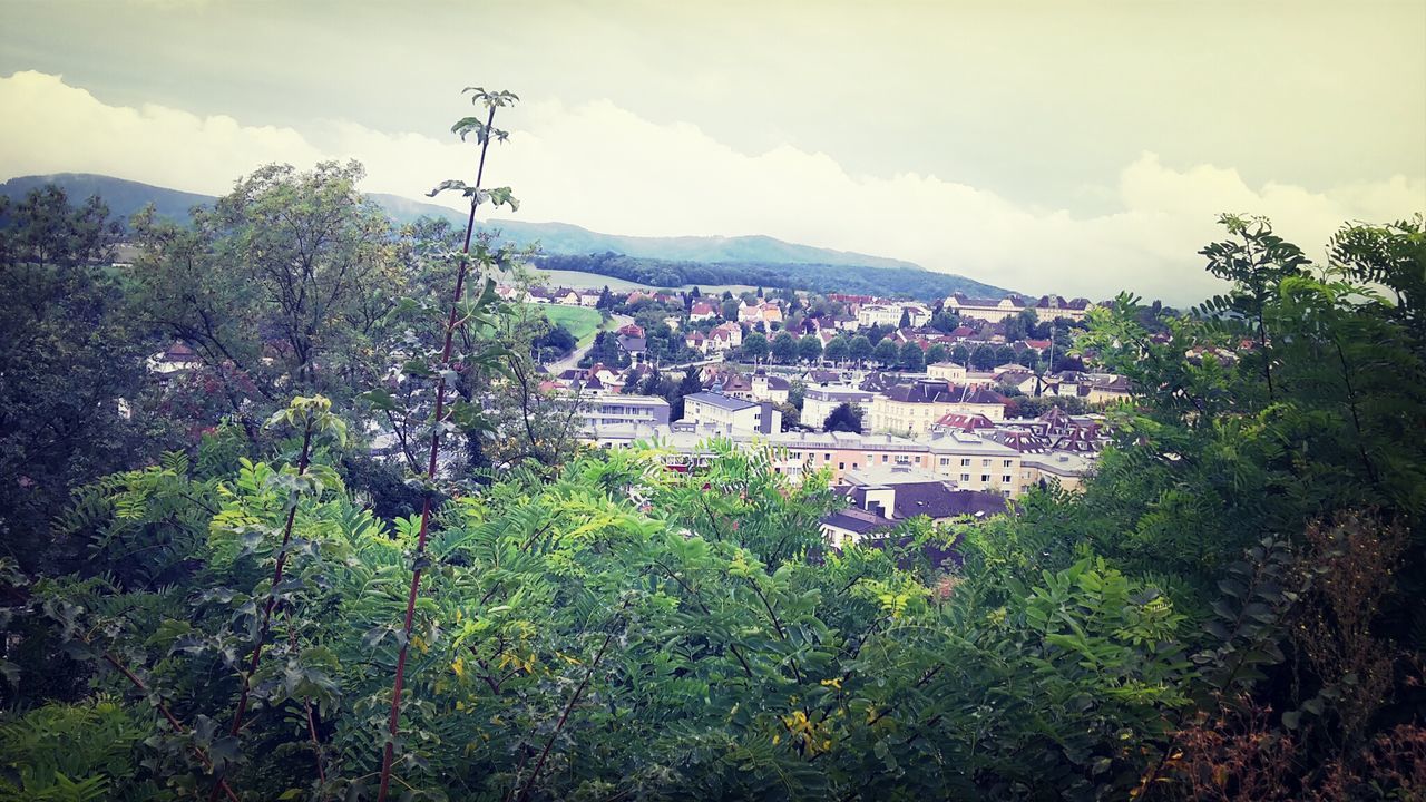 building exterior, sky, built structure, architecture, tree, house, cloud - sky, residential structure, growth, residential building, green color, town, cloud, mountain, plant, residential district, cloudy, nature, high angle view, day