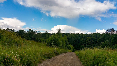 Scenic view of field against sky