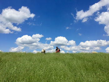 Man crouching by sheep on grassy field against sky