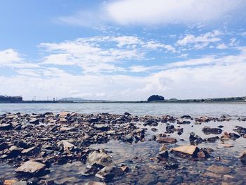 Surface level of beach