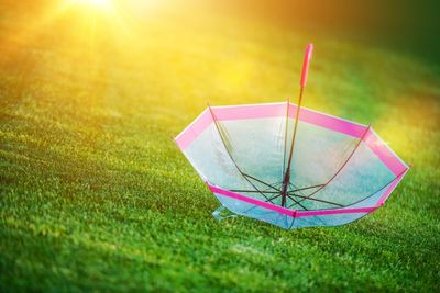 Umbrella on grassy field