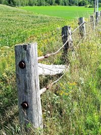 Wooden fence in a field