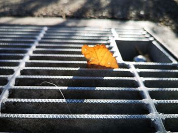 High angle view of dry leaves on metal grate