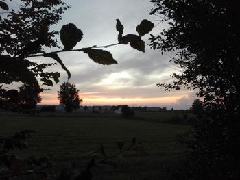 Silhouette of trees on field against sunset sky