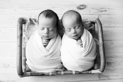 High angle view of twin sleeping on basket