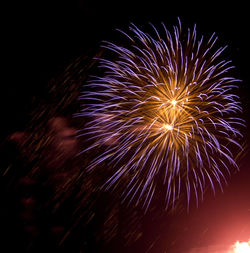 Low angle view of firework display at night