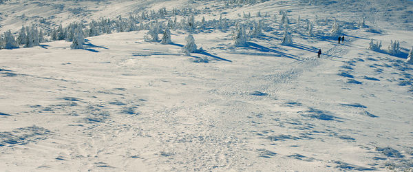 Scenic view of snow covered field