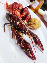 High angle view of meal served in plate