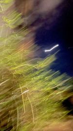 Defocused image of illuminated sky at night