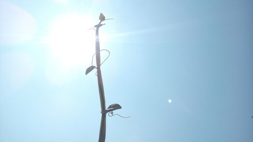 Low angle view of weather vane against sky