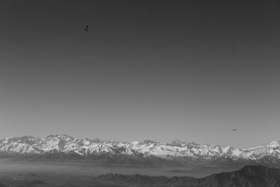 Bird flying over sea and mountains against clear sky