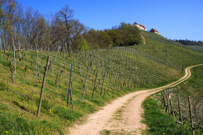 Dirt road amidst field against sky