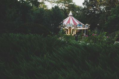 Carousel amidst trees