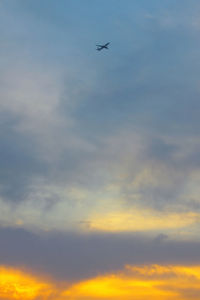 Low angle view of birds flying against sky during sunset