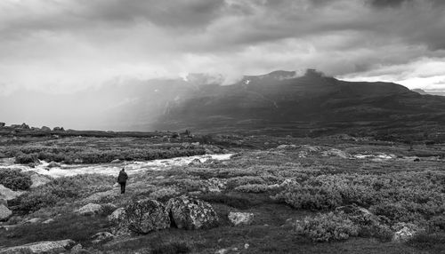 Scenic view of landscape against sky