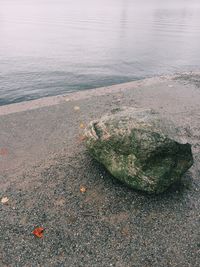 High angle view of sea shore