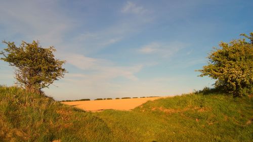 Offas dyke trackway