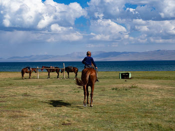 Horses on field against sky